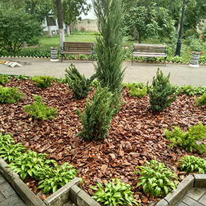 Хвойная мульча в Одинцово купить - оперативная доставка по всей России