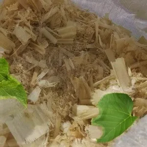 Лиственные опилки оптом в Одинцово от завода-производителя Лигнум Ресурс