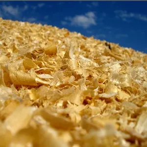 Опилки оптом в Одинцово купить - оперативная доставка по всей России