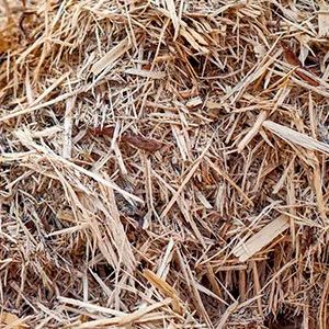 Щепа для арболита оптом в Одинцово и других различных марок заказать от 16 тонн